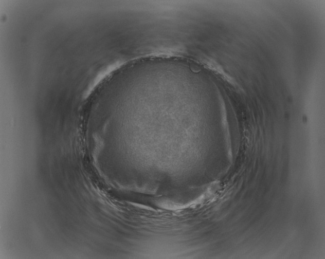 X0000067891256200604271817