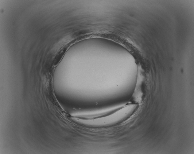 X0000067891257200604271817