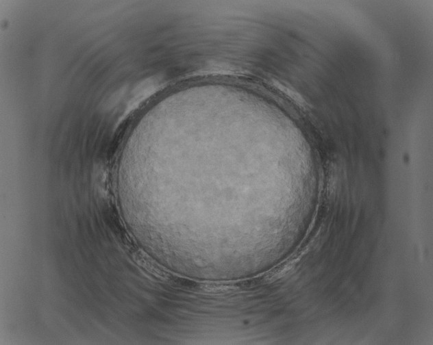 X0000067891258200604271817