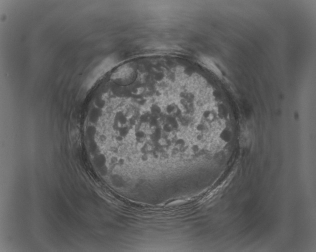 X0000067891259200604271817