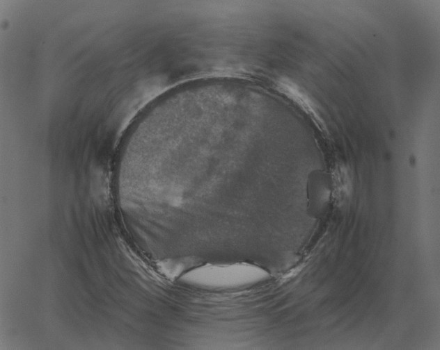 X0000067891260200604271817