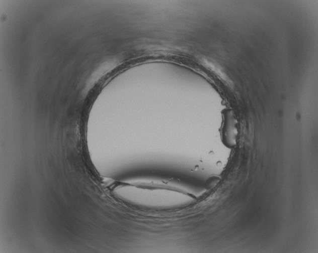 X0000067891261200604271817