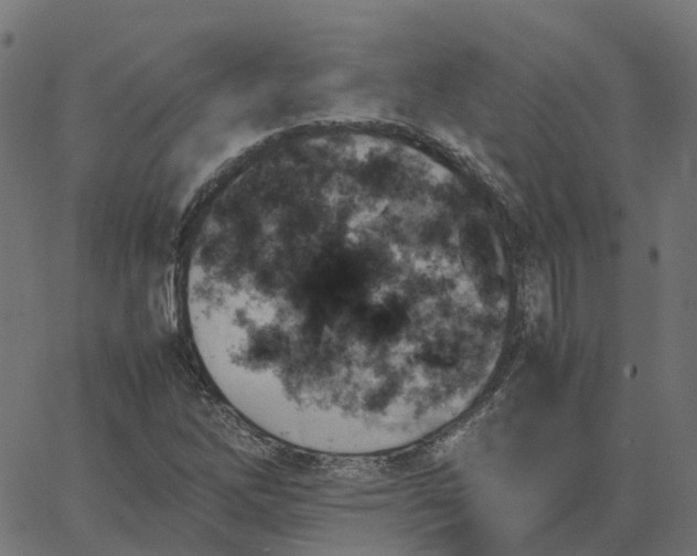 X0000067891262200604271817