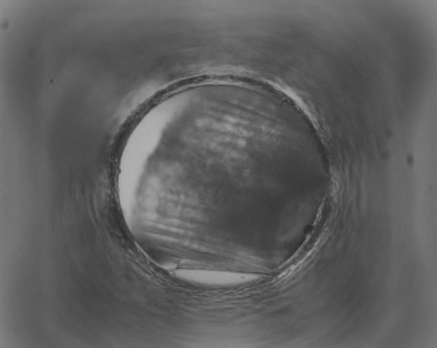 X0000067891263200604271817