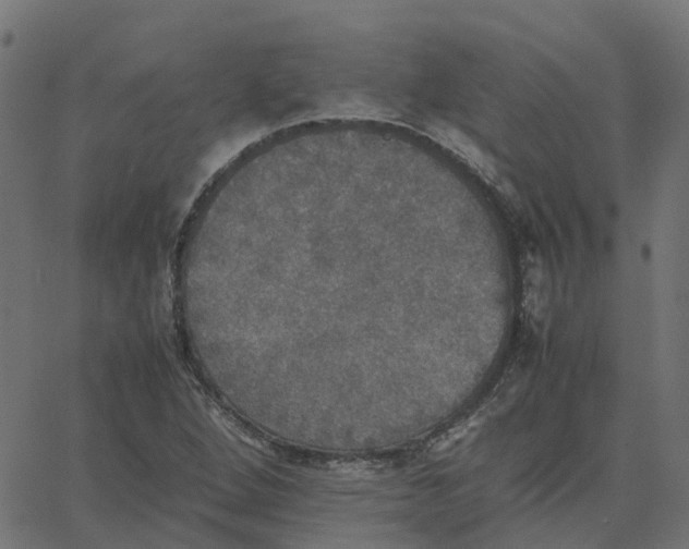 X0000067891264200604271817