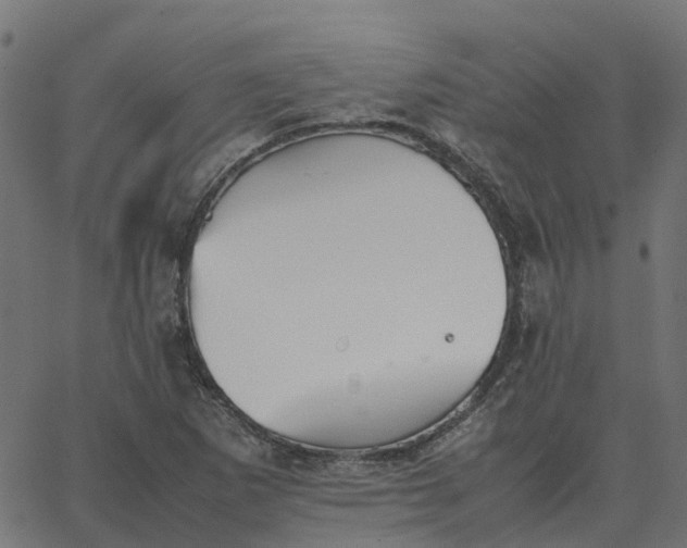 X0000067891265200604271817