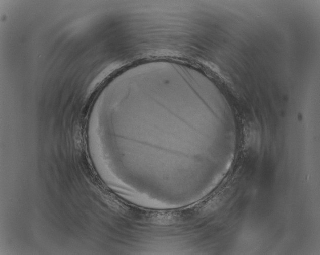 X0000067891266200604271817