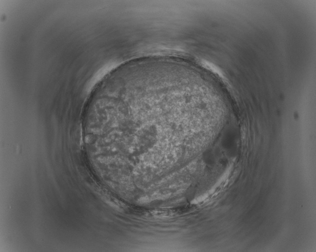 X0000067891267200604271817