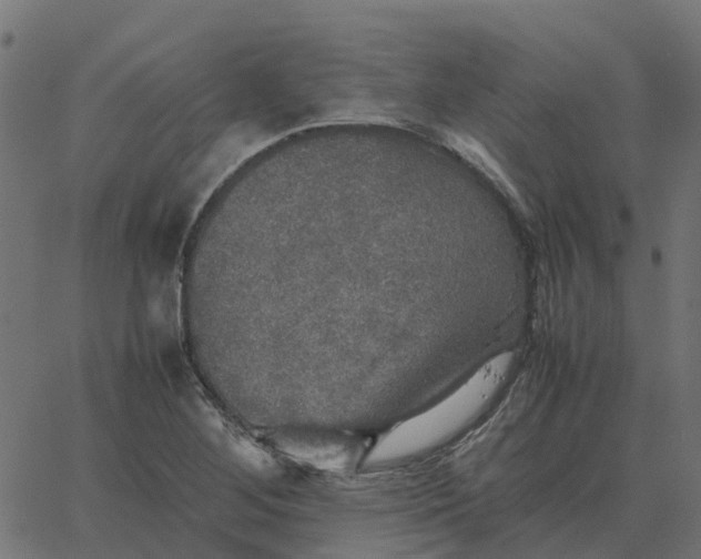 X0000067891268200604271817