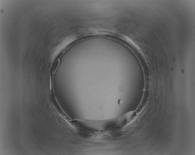 X0000067891269200604271817