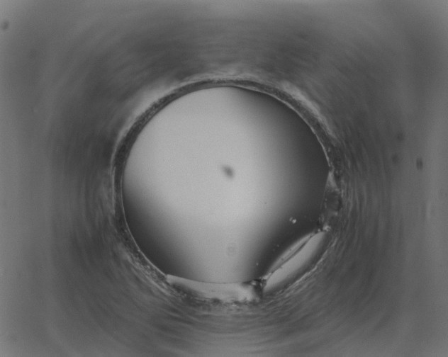 X0000067891270200604271817