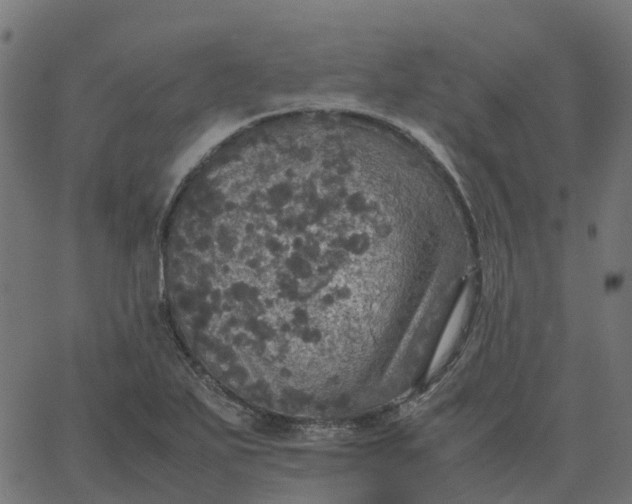 X0000067891271200604271817