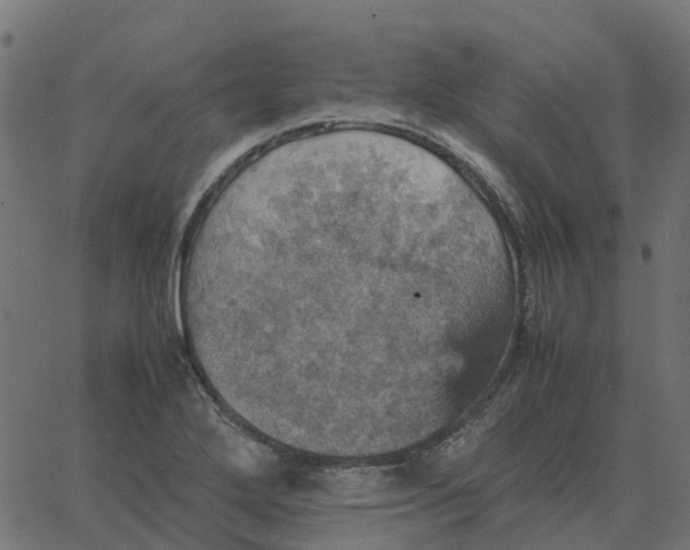 X0000067891272200604271817