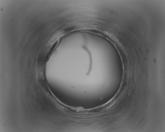 X0000067891273200604271817