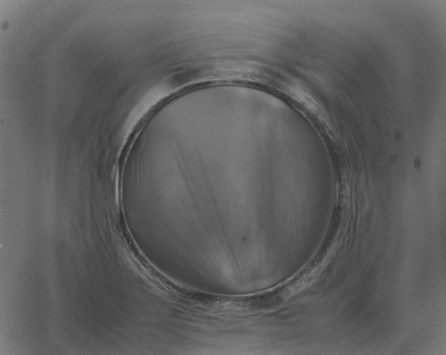 X0000067891275200604271817