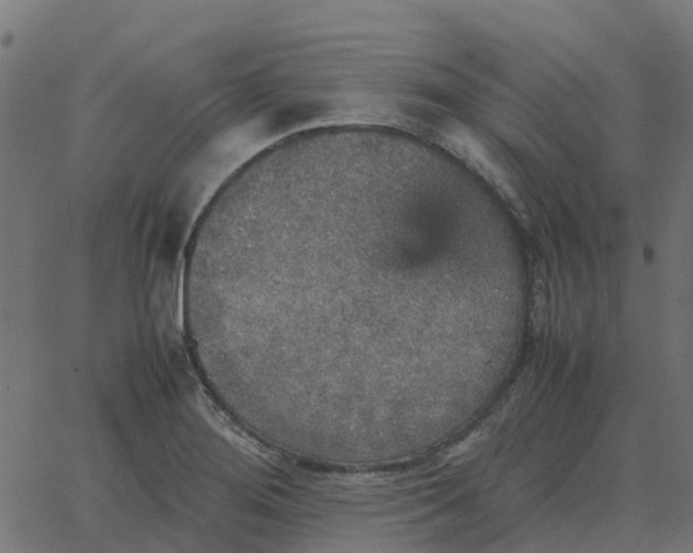 X0000067891276200604271817