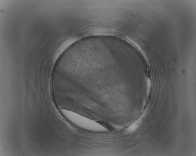 X0000067891277200604271817