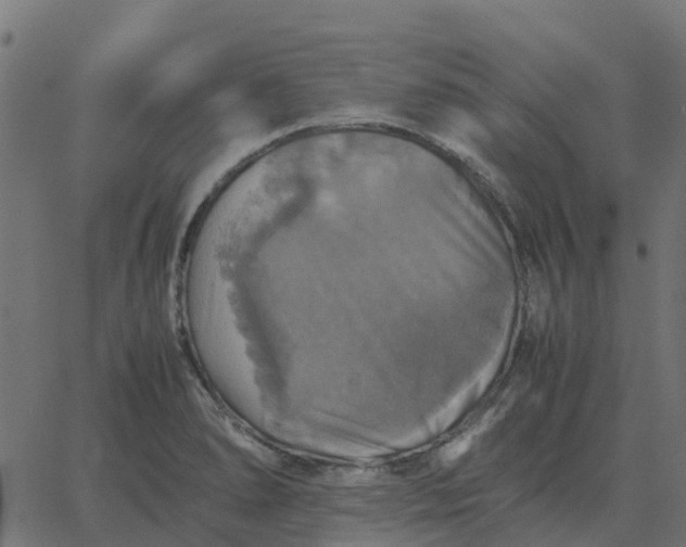 X0000067891278200604271817