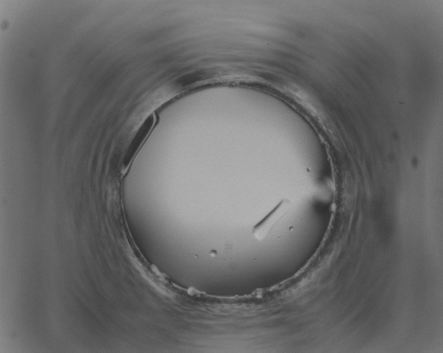 X0000067891281200604271817