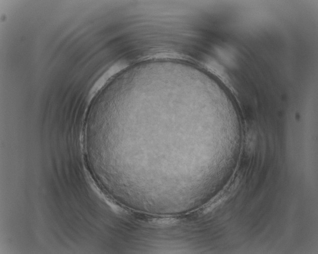 X0000067891282200604271817