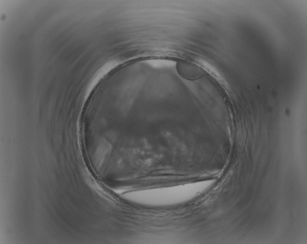 X0000067891283200604271817