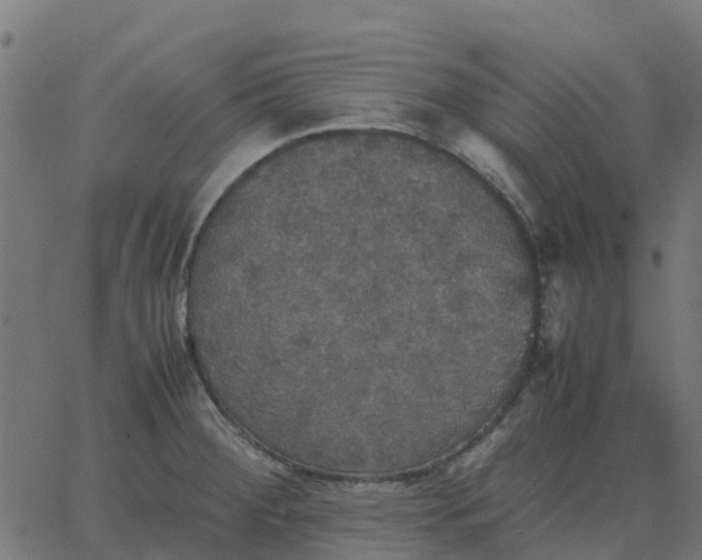 X0000067891284200604271817