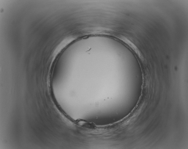 X0000067891285200604271817