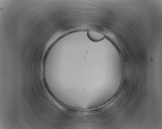 X0000067891286200604271817