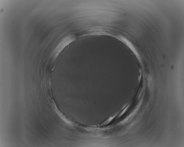 X0000067891289200604271817