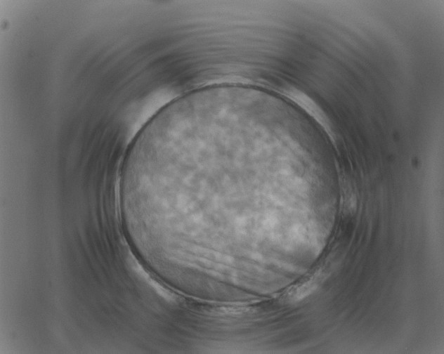 X0000067891290200604271817