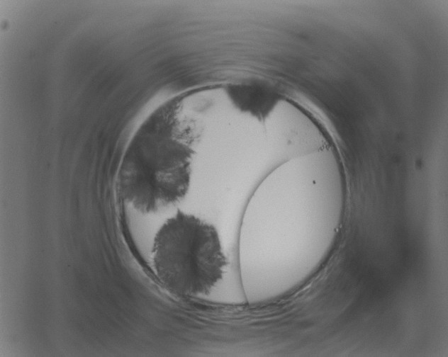 X0000067891291200604271817