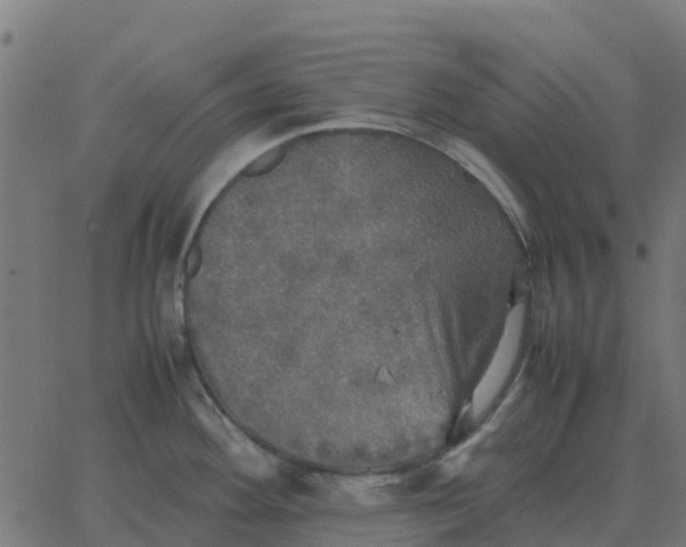 X0000067891292200604271817