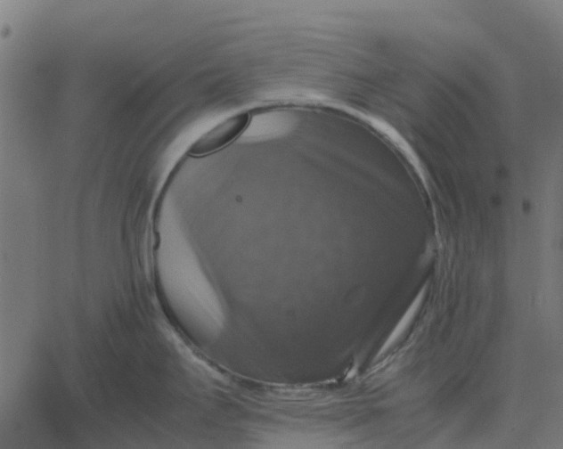 X0000067891295200604271817