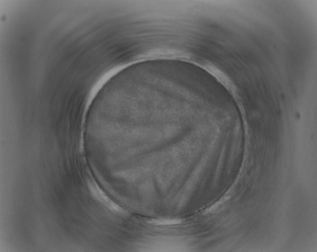 X0000067891296200604271817