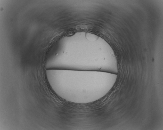 X0000067891297200604271816