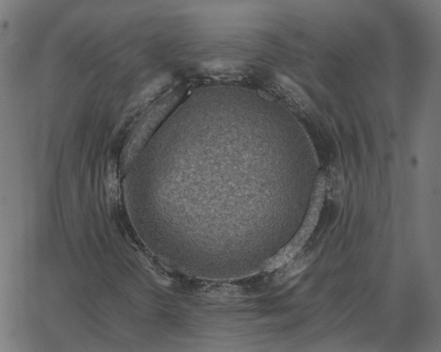 X0000067891298200604271816