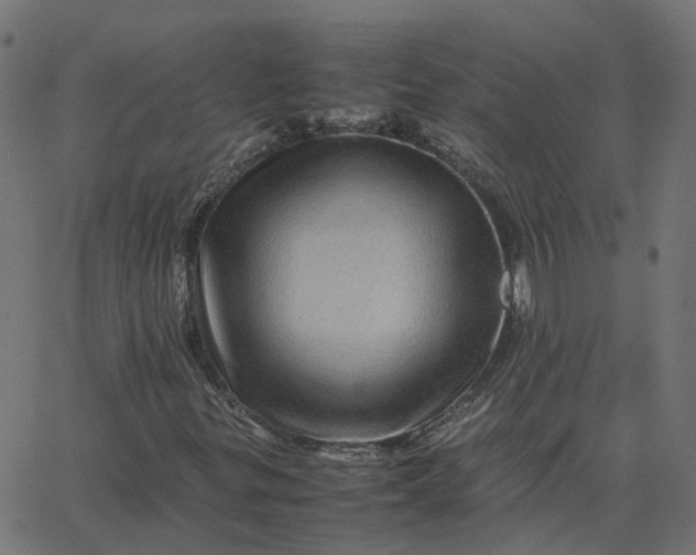 X0000067891299200604271816