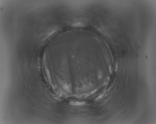 X0000067891301200604271816