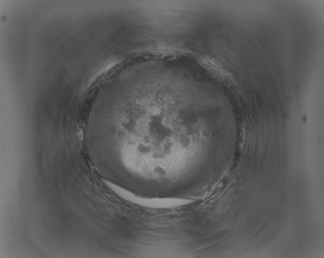 X0000067891302200604271816