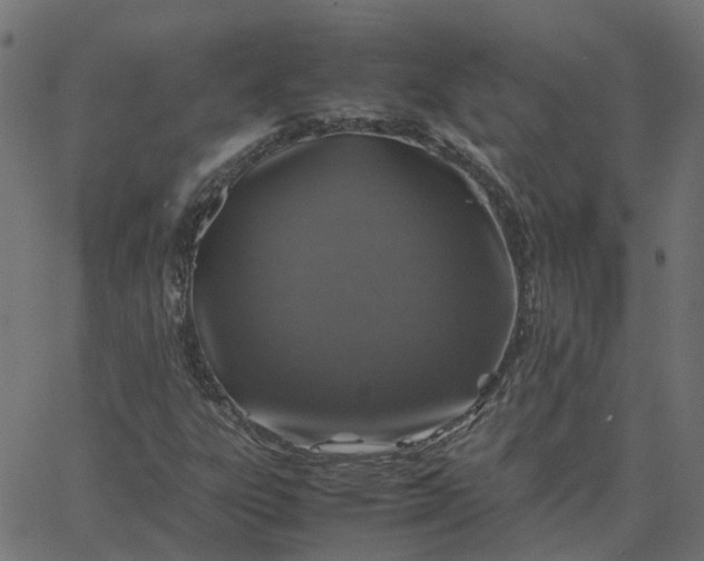 X0000067891303200604271816