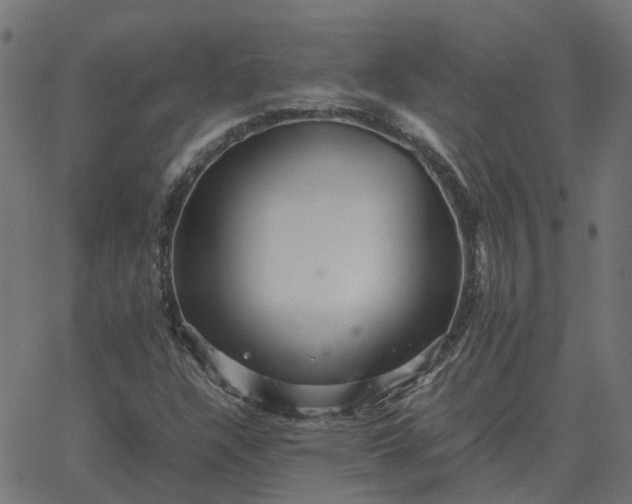 X0000067891304200604271816