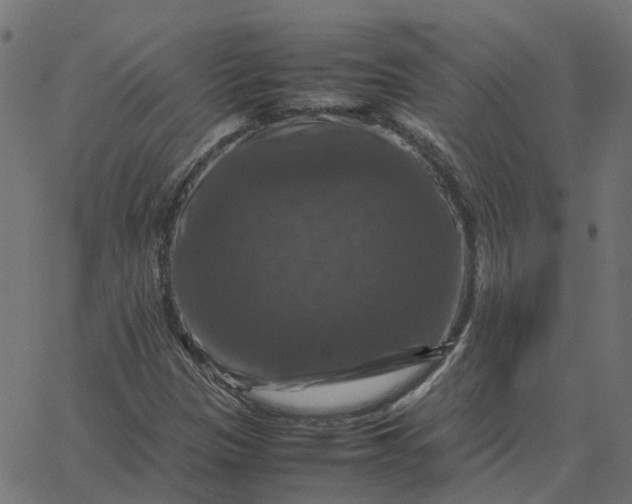 X0000067891305200604271816