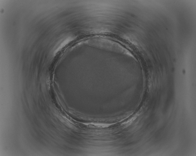 X0000067891306200604271816