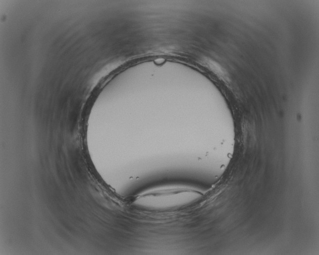 X0000067891308200604271816