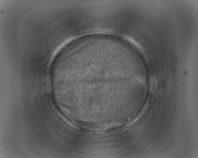 X0000067891310200604271816