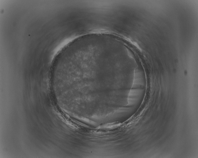 X0000067891311200604271816