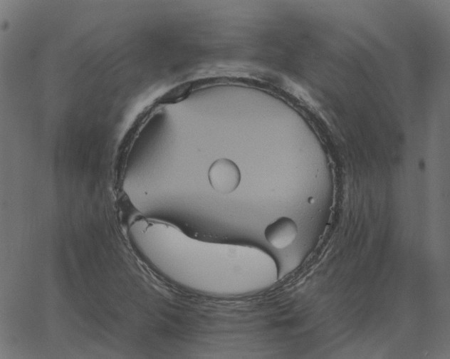 X0000067891312200604271816