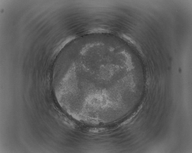 X0000067891313200604271816