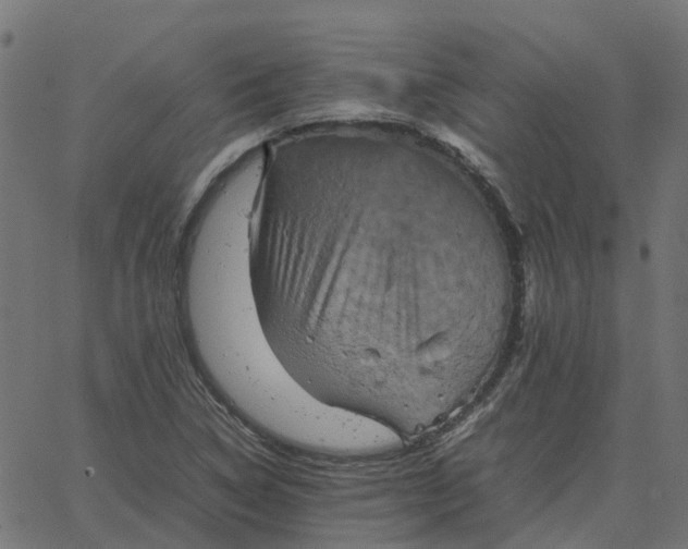 X0000067891314200604271816