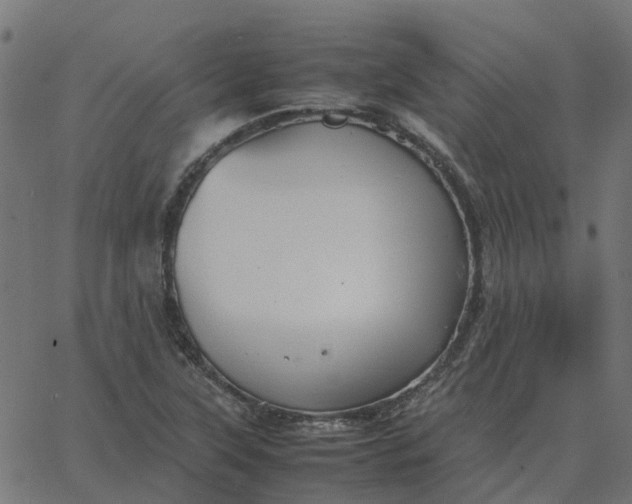 X0000067891315200604271816